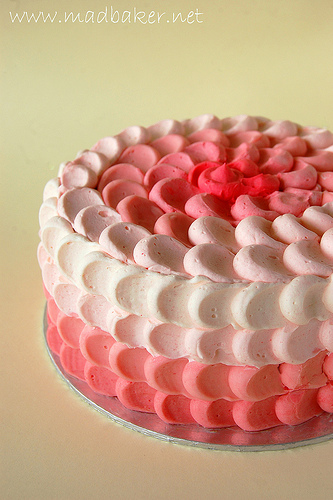 Petal Cake