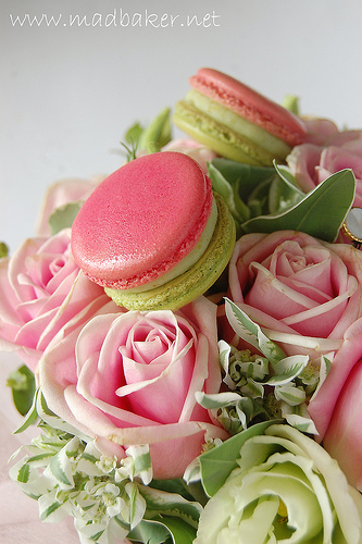 Montebello Macs and Roses