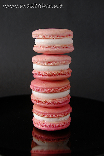 Strawberry macarons